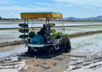 KEGAGALAN kebanyakan pesawah di kawasan Lembaga Kemajuan Pertanian Muda (MADA) merangkumi Kedah dan Perlis yang masih sukar meningkatkan hasil padi adalah kerana isu membabitkan tiga perkara asas utama yang gagal diselesaikan sepenuhnya.