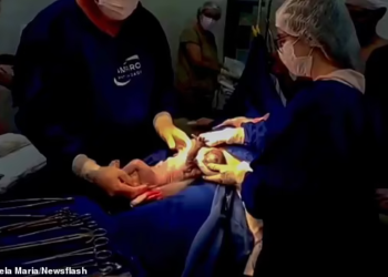 BAYI kembar yang keluar dari rahim ibunya dan masih berada di dalam kantung ketuban.-NEWSFLASH