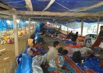 PULUHAN penduduk di Majene tinggal sementara di dalam reban ayam berikutan bantuan keperluan asas yang tidak mencukupi. - AGENSI