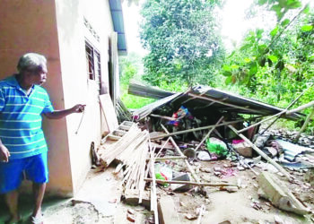 KEADAAN rumah penduduk yang rosak akibat gajah liar masuk ke kampung mereka di Kampung Satut, Pos Perwor di Sungai Siput pada Isnin lalu. - UTUSAN/ASLIZA MUSA