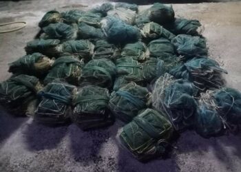 SEBAHAGIAN daripada bubu naga yang  dirampas oleh Maritim Malaysia Zon Kuala Kedah di sekitar perairan negeri ini.