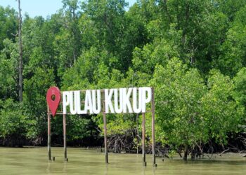 Projek tambak pulau buatan berdekatan Pulau Kukup boleh jejaskan ekosistem di kawasan berkenaan.