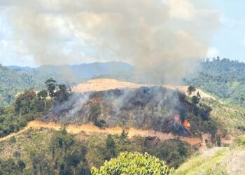 PEMBAKARAN hutan secara terbuka di Jalan Gua Musang-Lojing, Gua Musang, Kelantan. - UTUSAN/AIMUNI TUAN LAH