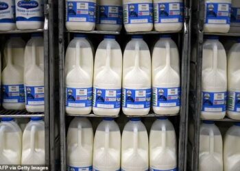 HARGA susu dilaporkan meningkat dua pertiga pada tahun lalu. - AFP