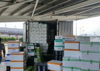 DAUN bawang seberat 1,000kg tanpa permit dari China yang cuba dibawa masuk berjaya ditumpaskan di Pelabuhan Tanjung Pelepas, Iskandar Puteri, Johor.