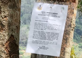NOTIS pengosongan kebun durian Musang King dan getah di Kampung Pulai, Gua Musang, Kelantan, bertarikh 30 September 2021. - UTUSAN/AIMUNI TUAN LAH