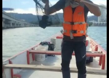 TANGKAP layar seorang kaki pancing menyelamatkan seekor anak kucing yang dipercayai dicampak individu tidak dikenali dari atas Jambatan Pulau Pinang dalam kejadian kira-kira pukul 2 petang hari ini.