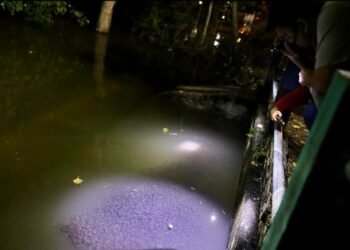 PASUKAN Jabatan Bomba dan Penyelamat Malaysia dari Balai Bomba Zon Klang melihat sekumpulan besar anak ikan muncul pada permukaan air ketika fenomena air laut pasang besar dekat Pengkalan Nelayan Tok Muda, Kapar di Klang, Selangor hari ini. - UTUSAN / ZULFADHLI ZAKI