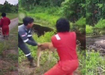 TANGKAP layar video yang menunjukkan dua pelaku menangkap dan melemparkan seekor anjing ke dalam sungai yang dipenuhi buaya di Nunukan. - AGENSI