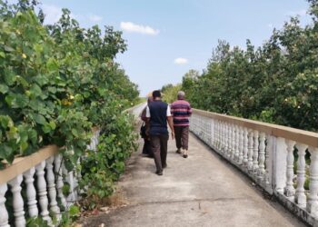 KEADAAN jambatan masuk ke Jeti Beting Beras Basah yang terbiar. - UTUSAN/AIN SAFRE BIDIN