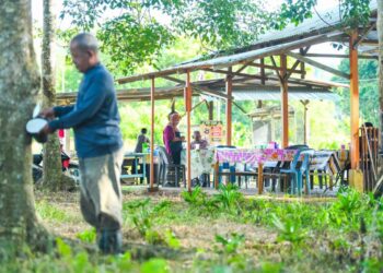 WARUNG sarapan pagi di dalam kawasan kebun getah menjadi lokasi penoreh getah bersarapan sambil melepaskan penat bekerja di di Kampung Bukit Ulu Pauh, Arau, Perlis semalam.-UTUSAN/IZLIZAN OTHMAN