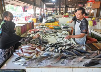 Pelanggan membeli ikan di Pasar Chabang Tiga, Kuala Terengganu, semalam. – UTUSAN/PUQTRA HAIRRY