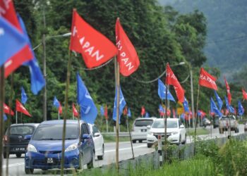 PENYOKONG dan ahli akar umbi UMNO majoritinya menolak kerjasama politik dengan DAP dalam PH.