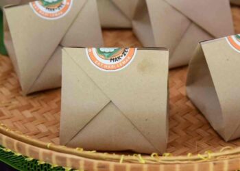 INOVASI pembungkusan nasi lemak ahli kumpulan Mak-Zee yang tidak menggunakan dawai kokot namun mempunyai pembahagian sambal, timun dan nasi di dalamnya.