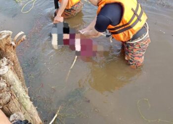 ANGGOTA bomba dan penyelamat menemukan mangsa lemas di sebuah tasik di Starhill Golf and Country Club, Kempas Lama, Johor Bahru.
