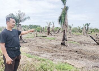 MAZLAN Ithnin menunjukkan benteng yang pecah menyebabkan air laut masuk ke dalam kebun diusahakan mereka.