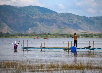 SEORANG lelaki memancing di atas pelantar bot di Empangan Timah Tasoh. – UTUSAN/SHAHIR NOORDIN