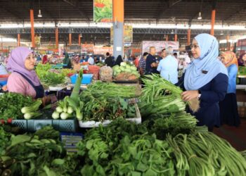 KENAIKAN harga barang keperluan harian dan kos sara hidup keseluruhan dikatakan boleh menjadi faktor penentu undian peringkat umur pertengahan dalam Pilihan Raya Negeri tidak lama lagi.