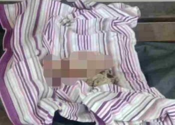 JANIN bayi yang ditemukan di loji kumbahan di sebuah pangsapuri di Kota Kinabalu hari ini.