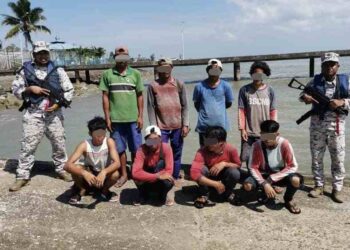 LAPAN PATI yang ditahan semasa memetik rumpai laut di perairan Pulau Sebatik, Tawau semalam