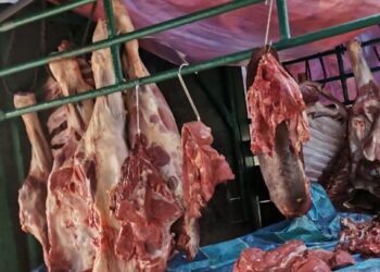 SYARIKAT tempatan pernah mengimport daging dari Pakistan dalam usaha mengelak pergantungan bekalan daripada satu negara sahaja namun tidak berjaya.