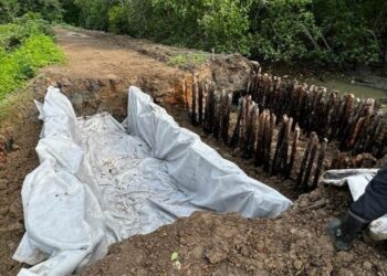 KAYU bakau dan geotekstile (kiri) digunakan untuk membuat benteng penahan air masin kerana diyakini lebih kukuh dan tidak mudah runtuh.