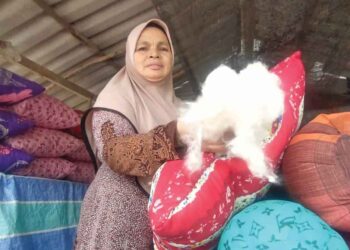 FATIMAH Romli menunjukkan bantal kekabu asli yang dihasilkan dan dijual kepada orang ramai di kedainya di Batu 19, Jalan Padang Besar, Perlis, semalam. – UTUSAN/ASYRAF MUHAMMAD