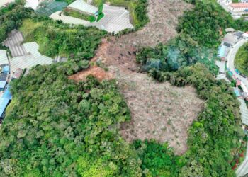 KAWASAN hutan yang sudah dibersihkan di atas bukit berdekatan rumah penduduk yang dikatakan diluluskan untuk projek pelancongan eko di Tringkap, Cameron Highlands. – UTUSAN/IHSAN REACH