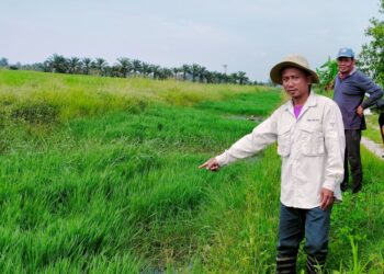 PESAWAH menunjukkan keadaan parit yang tidak diselenggara sehingga menjejaskan saliran air dari petak sawah di Bagan Serai. - UTUSAN/WAT KAMAL ABAS