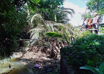 MOHD. Radzi Shamsudin menunjukkan sampah sarap yang memenuhi Sungai Pasir selepas beberapa batang pokok nipah yang tumbang tersangkut di titi Kampung Titi Pokok Machang di Sungai Petani. - UTUSAN/OTHMAN YAHAYA