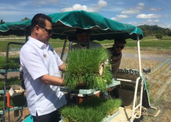 AZMAN Mahmood (kiri) memeriksa keadaan padi semasa Program Smart Sawah Berskala Besar (Smart SBB) Ala Sekinchan Kawasan Pembangunan Pertanian Bersepadu (IADA) Kemasin Semerak di Masjid Surau Bator, Bachok, Kelantan hari ini. UTUSAN/ ROSMIZAN RESDI