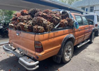 SEBUAH kenderaan pacuan empat roda yang berisi buah sawit turut dirampas selepas penahanan empat individu di Jempol berhubung kes kecurian buah dan benih sawit.