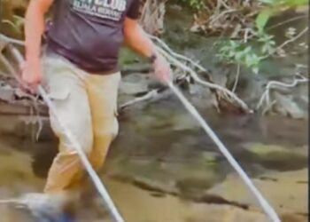 TANGKAP layar daripada video menunjukkan penyandang ADUN menangkap ikan menggunakan peralatan terlarang di sebatang sungai di negeri ini, baru-baru ini. - MEDIA SOSIAL