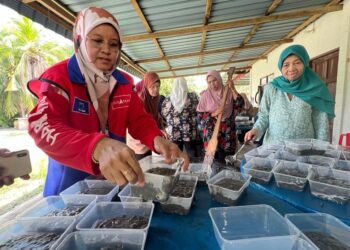 SALMEE Said (kiri) membantu memasukkan bubur Asyura ke dalam bekas sewaktu turun padang ke Kampung Padang Gelanggang, Sanglang, Kedah hari ini.- UTUSAN/ASYRAF MUHAMMAD