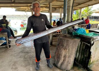HARUN Jusoh menunjukkan ikan naga laut yang ditangkapnya di Pantai Teluk Ketapang, Kuala Nerus, Terengganu, semalam. - UTUSAN/KAMALIZA KAMARUDDIN