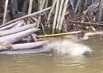 KEADAAN mayat dipercayai warga asing yang ditemukan terapung di Sungai Kuang, Kemaman, petang, semalam.