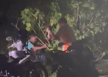 Tiga lelaki ditahan susulan video memaparkan beberapa individu bertindak memukul anjing menggunakan batang kayu dalam kejadian di Batu Maung, Pulau Pinang tular di laman sosial.