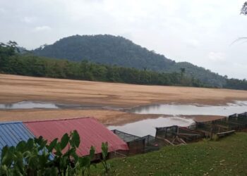 SANGKAR ikan milik Mohd. Fadzli Abdul Malik seolah-olah berada di atas daratan berikutan paras air Sungai Pahang yang semakin cetek akibat fenomena El-Nino di Kampung Tanjung Berangan di Maran, Pahang. - UTUSAN/SALEHUDIN MAT RASAD
