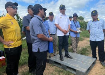 MOHAMAD Sabu (tiga dari kanan) meninjau tanaman jagung bijian sewaktu Lawatan Kerja Ke Projek Tanaman Jagung Bijian di Lembah Chuping, Padang Besar, Perlis hari ini. -UTUSAN/ASYRAF MUHAMMAD