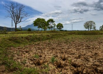 PIHAK berkuasa Indonesia meramalkan musim kemarau di negara ini akan berlanjutan sehingga Oktober berbanding September sebelum ini. - AFP