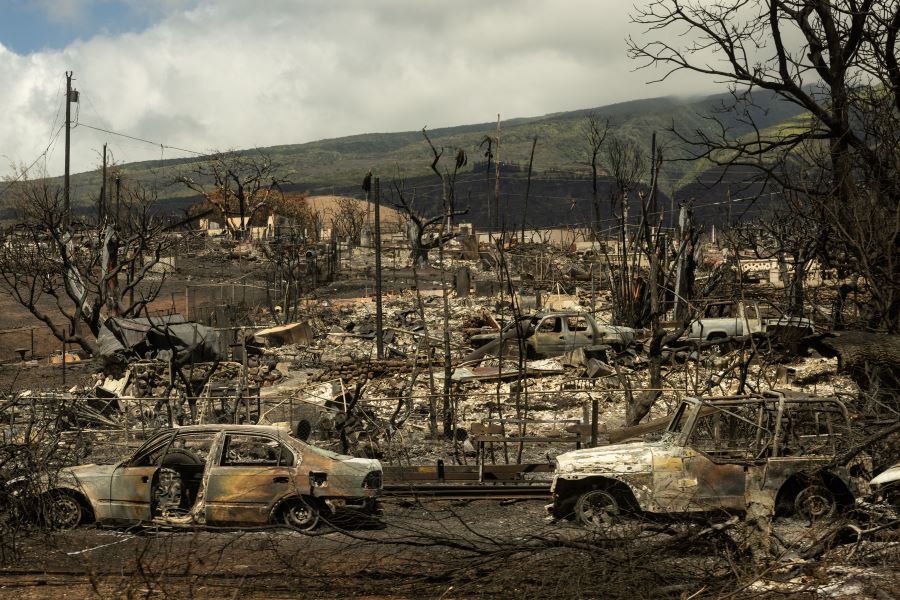 Pihak berkuasa Hawaii perlu sampel DNA cam mayat mangsa kebakaran hutan