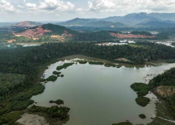 PEMANDANGAN udara Tasik Chini dari Kampung Gumum. Pakar menganggarkan satu bajet yang besar bagi pemuliharaan Tasik Chini. – UTUSAN/MUHAMAD IQBAL ROSLI