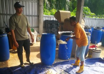 AZMAWI Punari (kiri) memerhatikan pekerjanya memasukkan hampas soya ke dalam tong besar untuk diedarkan kepada penternak ruminan, dekat kilangnya di Jalan Bakri, Kampung Jalan Kebun di Shah Alam, Selangor. – UTUSAN/ABDUL RAZAK IDRIS