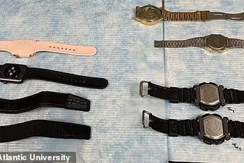SAMPEL jam tangan dan gelang pintar yang digunakan dalam kajian Nwadiuto Esiobu dan pasukannya.-AGENSI