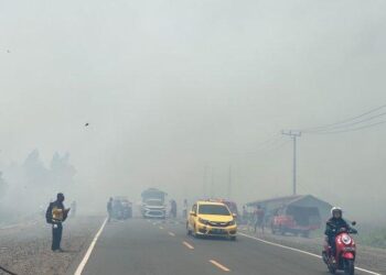 ASAP tebal menyelubungi ruang udara Jalan Gabenor Sarkawi di wilayah Banjar, Kalimantan Selatan yang dilanda kebakaran hutan.-AGENSI