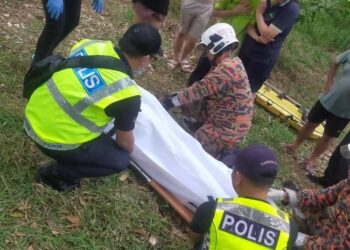 MANGSA yang dihempap pokok di kebun Pantu Mail, Kanowit, Sarawak diperiksa oleh anggota bomba dan polis petang tadi.