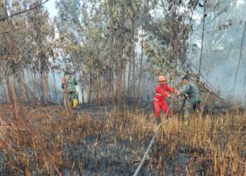 PETUGAS Manggala Agni Pekanbaru dan anggota tentera berusaha memadam kebakaran belukar di Desa Tarai Bangun di daerah Tambang.-AGENSI