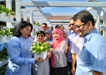K. SARASWATHY (kiri) melihat sayur yang ditanam menerusi Program Kebun Nuri Nutrisi Bank Rakyat di SMK Air Kuning, Tapah hari ini. - UTUSAN