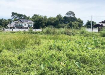 KAWASAN bendang yang ditebus guna untuk pembinaan sekolah di Cherang Ruku, Pasir Puteh, Kelantan. - UTUSAN/TOREK SULONG