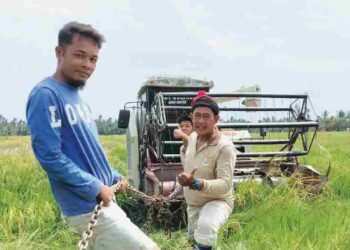 PESAWAH memasang rantai untuk menarik jentuai yang terbenam dalam sawah akibat tanah lembut menggunakan traktor di Parit Mat Ali Kuala Kurau, Parit Buntar. – UTUSAN/WAT KAMAL ABAS